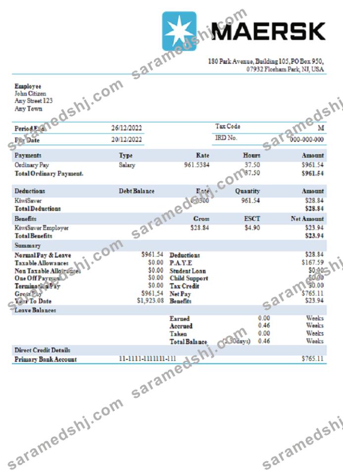 USA Maesk shipping company pay stub